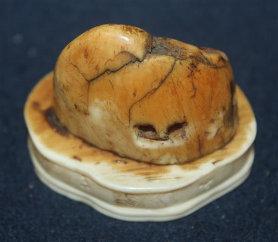 A Japanese walrus ivory okimono, Meiji period, 6.3cm